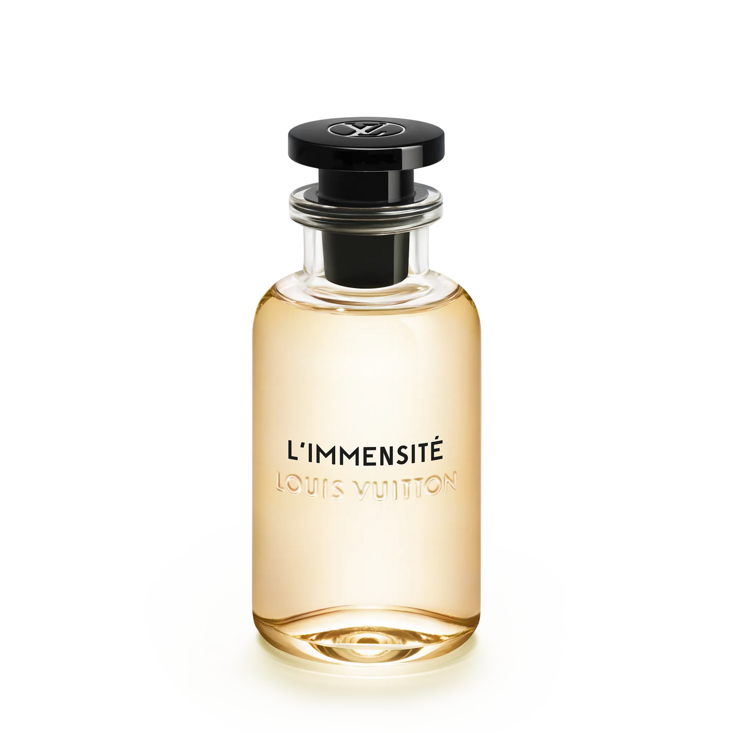 Louis Vuitton l'Immensite